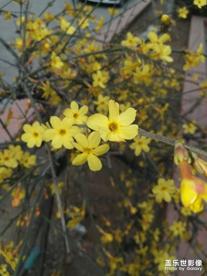 春暖花開
