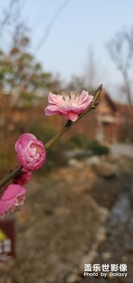 萬達(dá)樂園