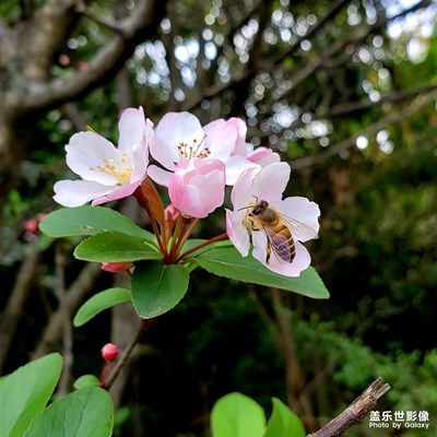 春暖花開