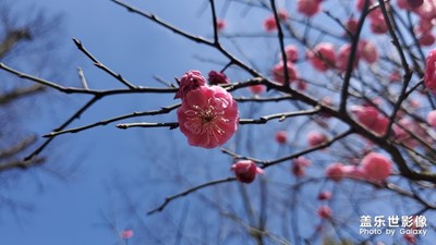 發(fā)現(xiàn)生活的美。