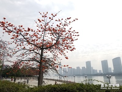 【時(shí)光】+匆匆流年