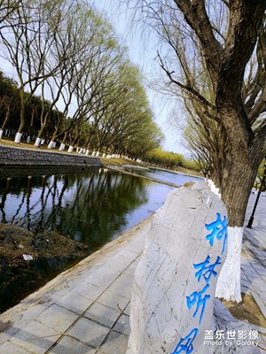 踏春＋我的大學(xué)，