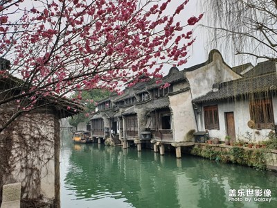 【踏春】+春暖花開