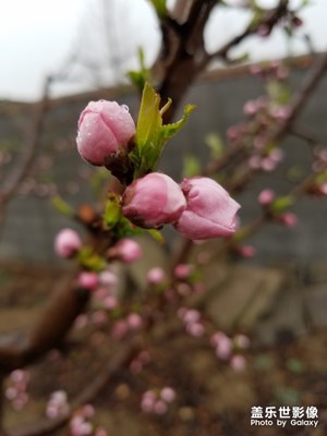 【踏青】+春暖花會開！