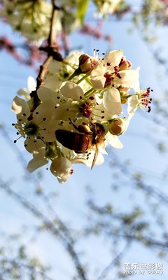 春暖花開，