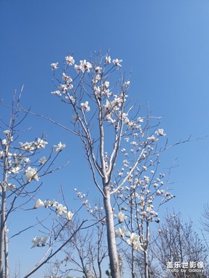 【踏春】+隨便走走，莫負(fù)春光