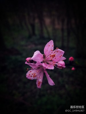 春