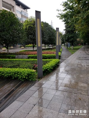 【踏春】畢設(shè)路上的校園風(fēng)光