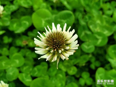 【踏春】拍了個照