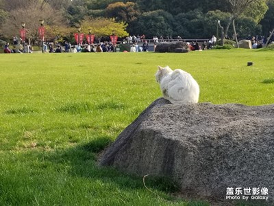 【踏春】+春日長曉風香