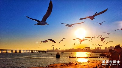 【踏春】+ 海貝魚躍鳥梭飛，晚霞紅海騰日魂。