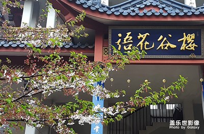 花開花落