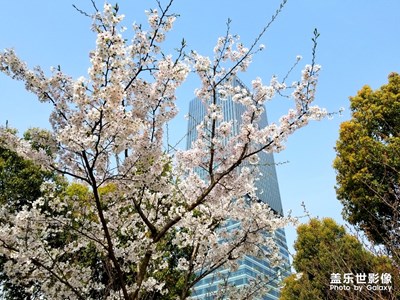 春晨