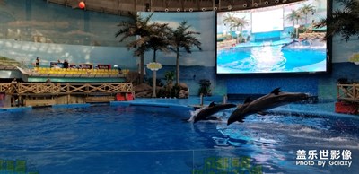 海洋公園
