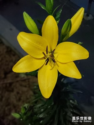 note9自動(dòng)模式拍照