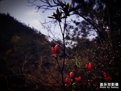 美了春天