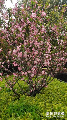 春暖花開，萬(wàn)物生長(zhǎng)