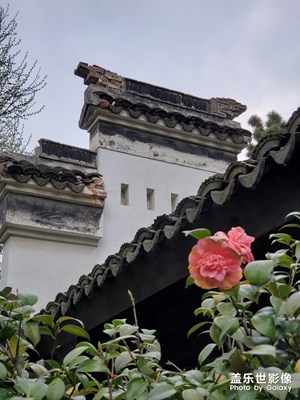 周末游公園