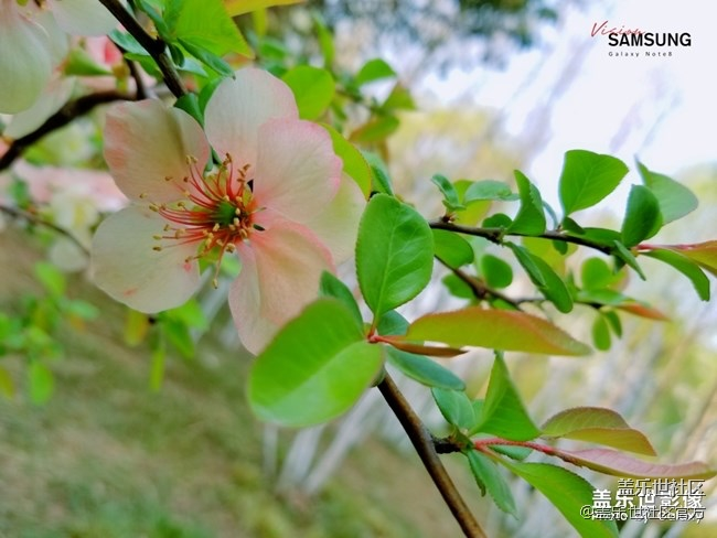 【每周精帖匯141】Galaxy Fold蓄勢(shì)待發(fā)