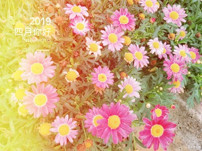 【四月你好】+莫負(fù)春光