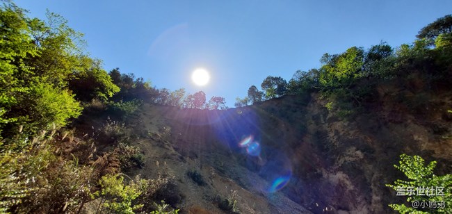 【Galaxy S10相機測評】