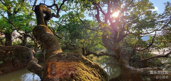 【Galaxy S10相機測評】