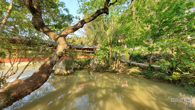 【Galaxy S10相機測評】