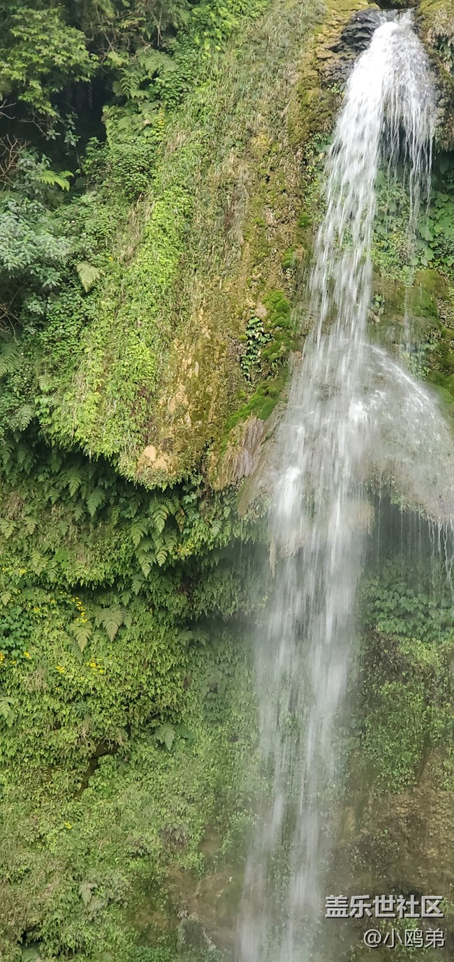 【Galaxy S10相機測評】