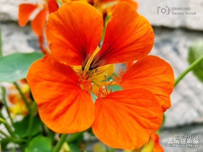 【每周精帖匯141】Galaxy Fold蓄勢(shì)待發(fā)