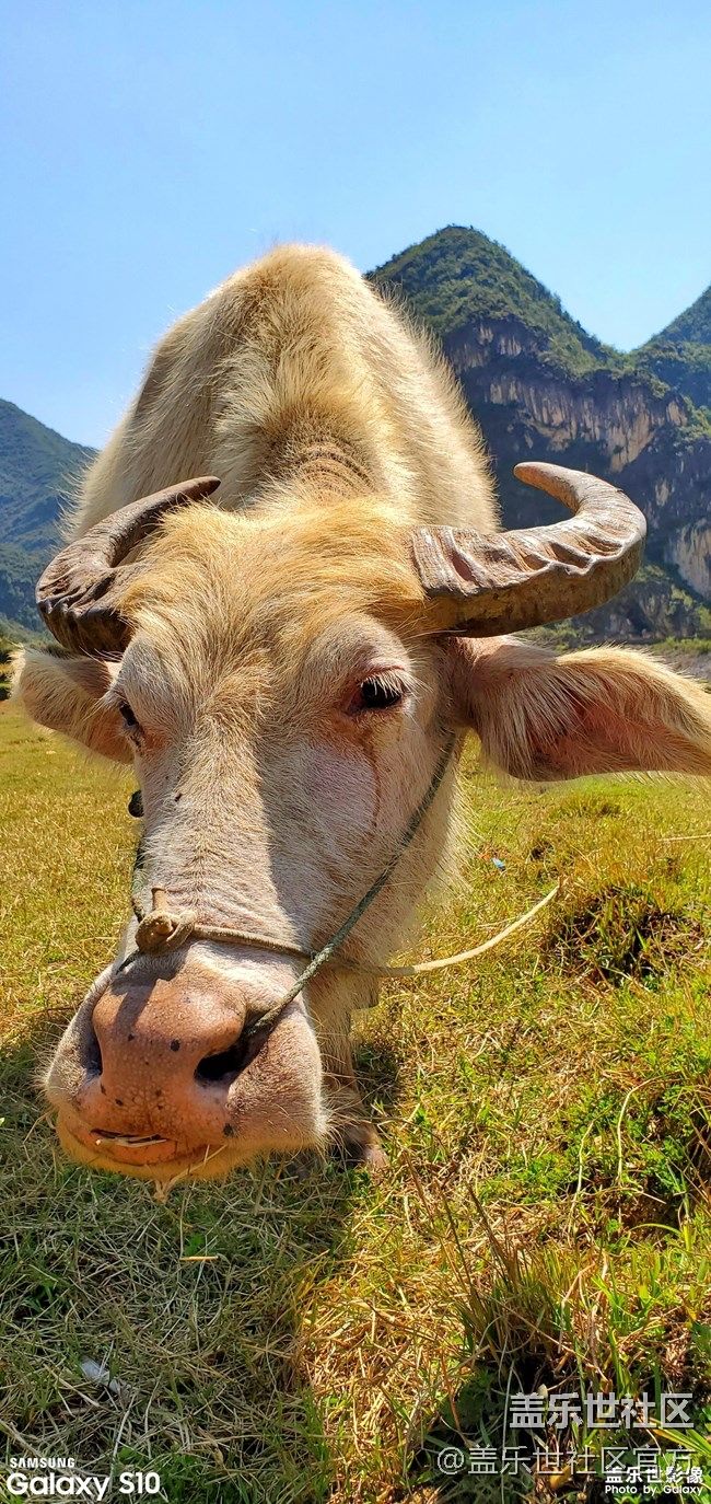 【每周精帖匯141】Galaxy Fold蓄勢(shì)待發(fā)