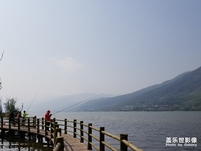 周末隨拍，原圖直出未修。