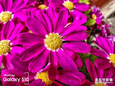 【四月你好】+身邊處處有美景