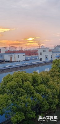清晨的陽光
