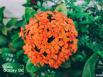 【四月你好】屋頂花園