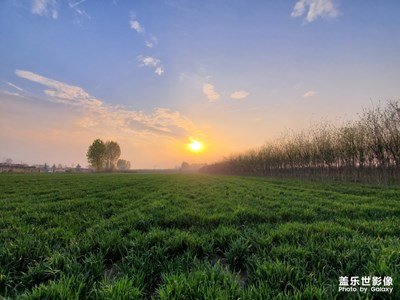 【四月你好】夕陽遇見麥田