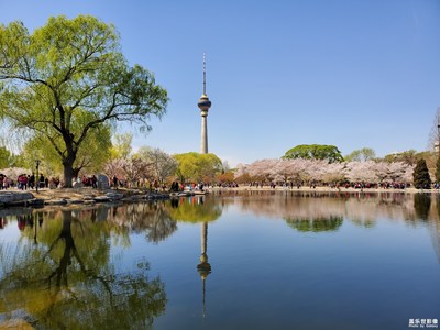 【四月你好】+玉淵潭晚櫻