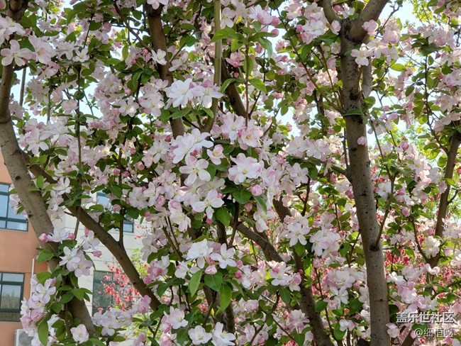 簡(jiǎn)短S10+小介紹