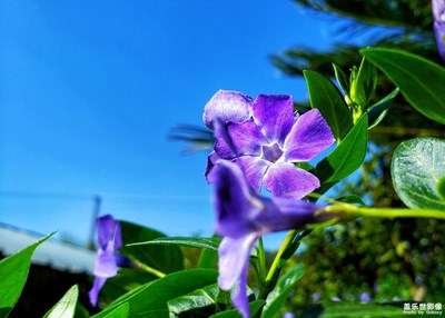 【四月你好】+春光無(wú)限