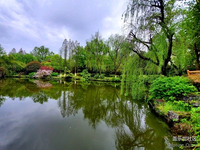 別樣的（綠）景（露）