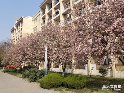 校園照