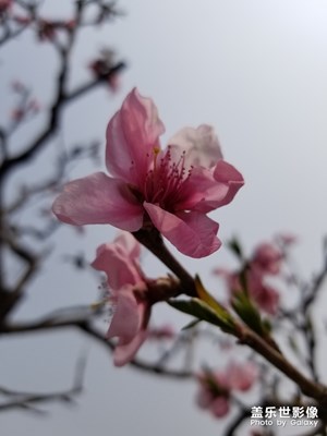春暖花開