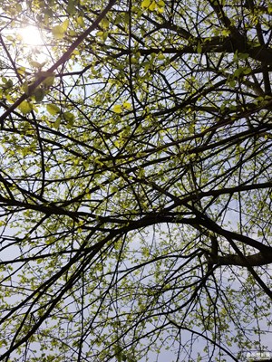 【四月你好】+風(fēng)和日麗