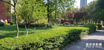 東湖公園隨拍