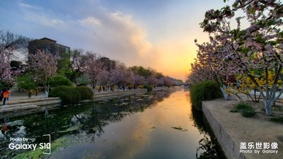 Galaxy S10遇見海棠花溪