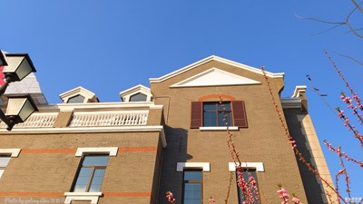 【春】+春來鳳凰城