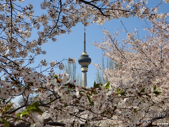 【每周精帖匯142】你是怎么度過的清明小長假呢？