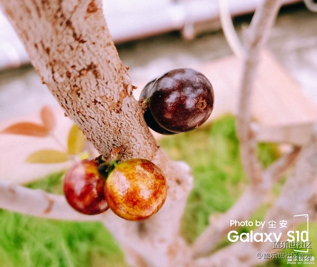 【每周精帖匯142】你是怎么度過的清明小長假呢？