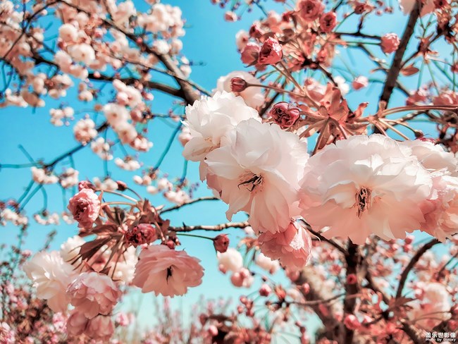 【每周精帖匯143】三星Galaxy A新品影像力家族亮相啦