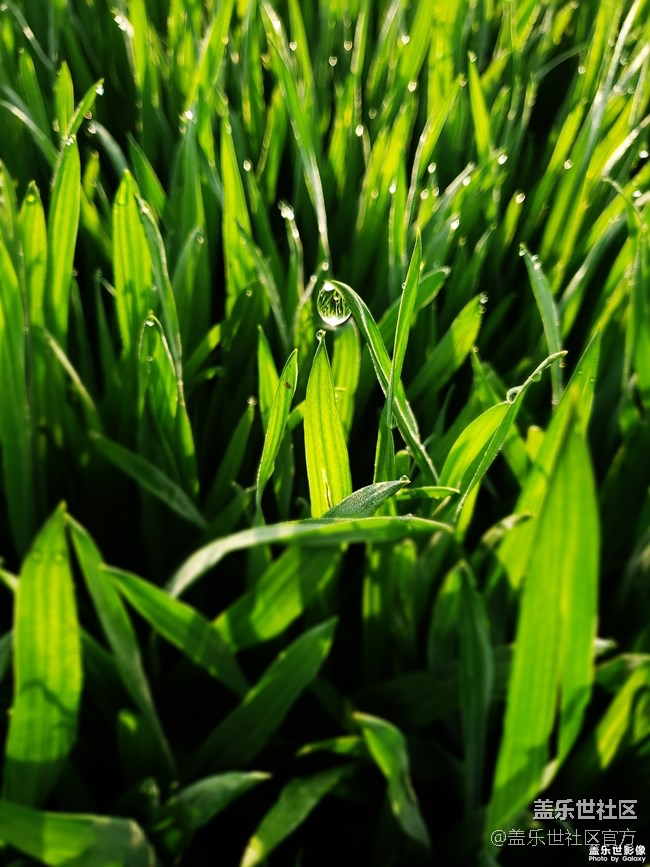 【每周精帖匯142】你是怎么度過的清明小長假呢？