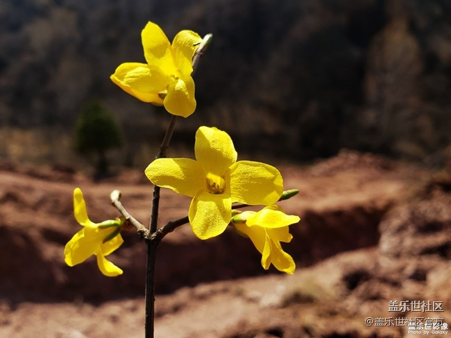 【每周精帖匯142】你是怎么度過的清明小長假呢？
